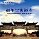 北京市东城区和平里街道志 2008版 PDF电子版