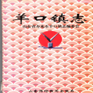 寿光市羊口镇志 1998    PDF电子版