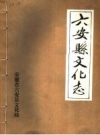 六安县文化志 安徽省六安县文化局编 PDF电子版下载